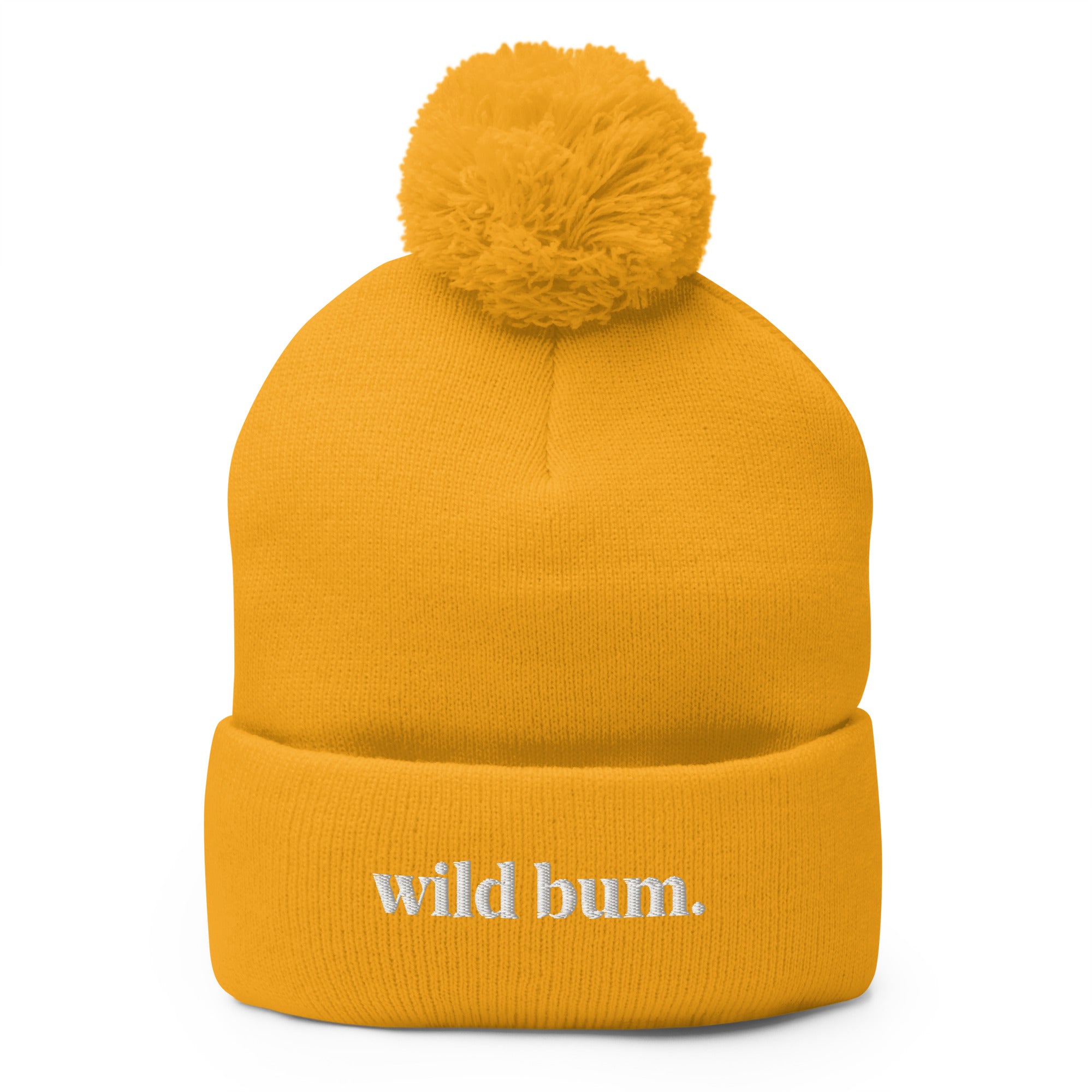 Pom-Pom Knit Beanie