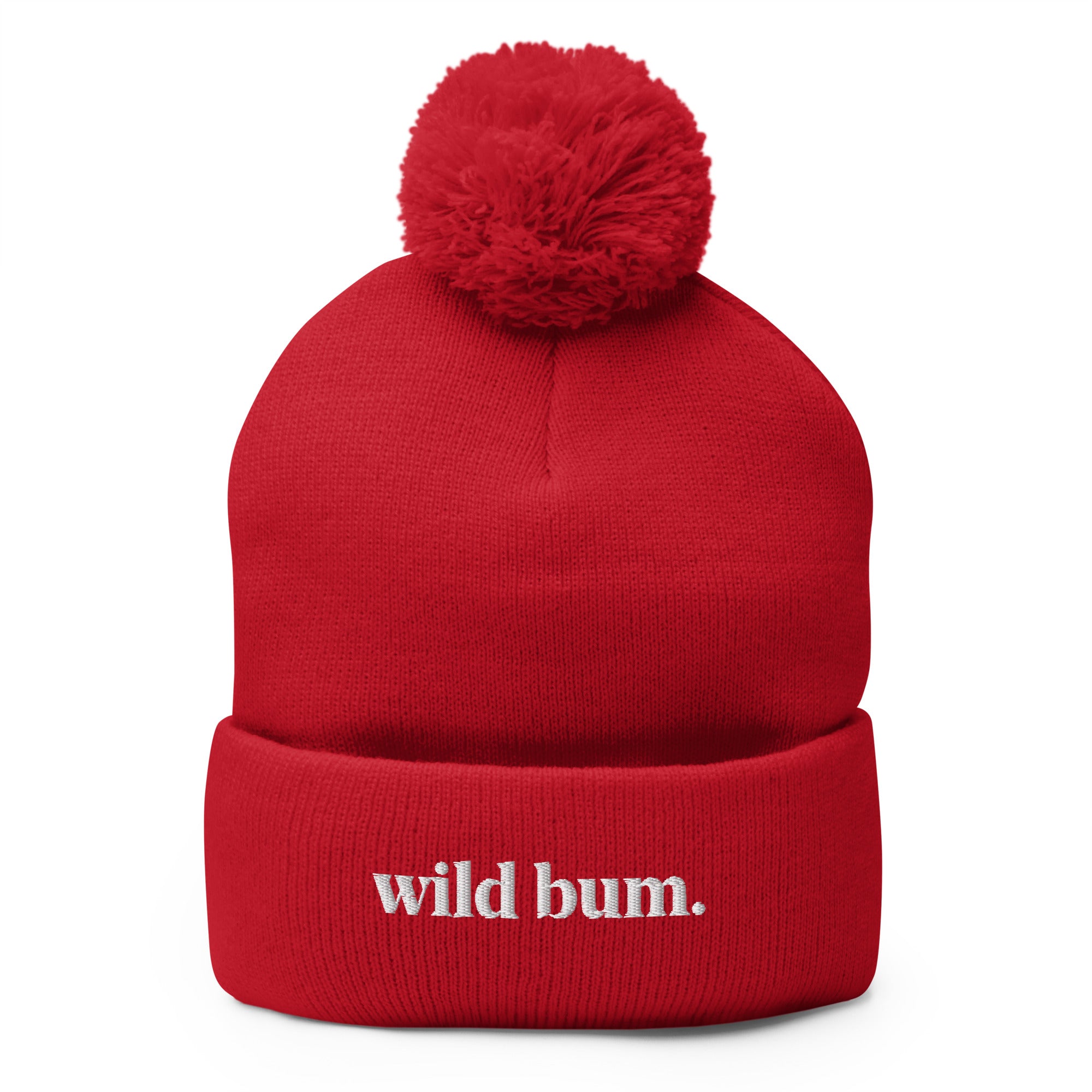 Pom-Pom Knit Beanie