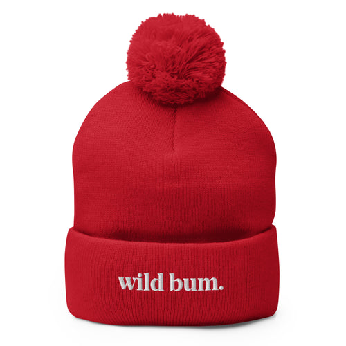 Pom-Pom Knit Beanie